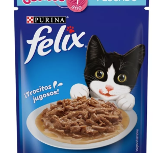 Felix Sobre Gatitos Pescado