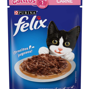 Felix Sobre Gatitos Carne