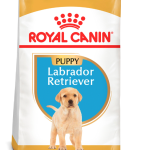 Royal Canin Labrador Puppy