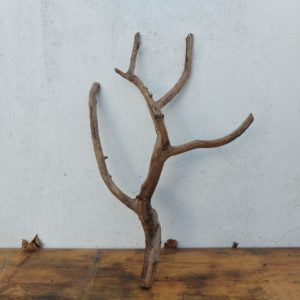 Tronco Nacional tipo rama