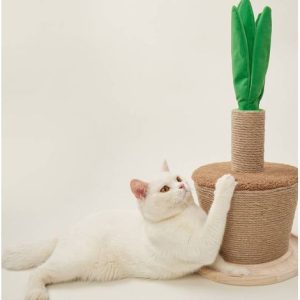 FOFOS – Playtime Pot Plant Cat Scratcher (63 cm x 30 cm)