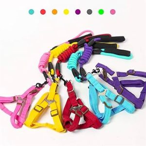 Arnés con correa de cuerda