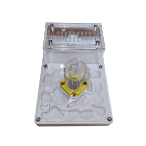 Hormiguero 3D de 10×15 con forrajeo v2