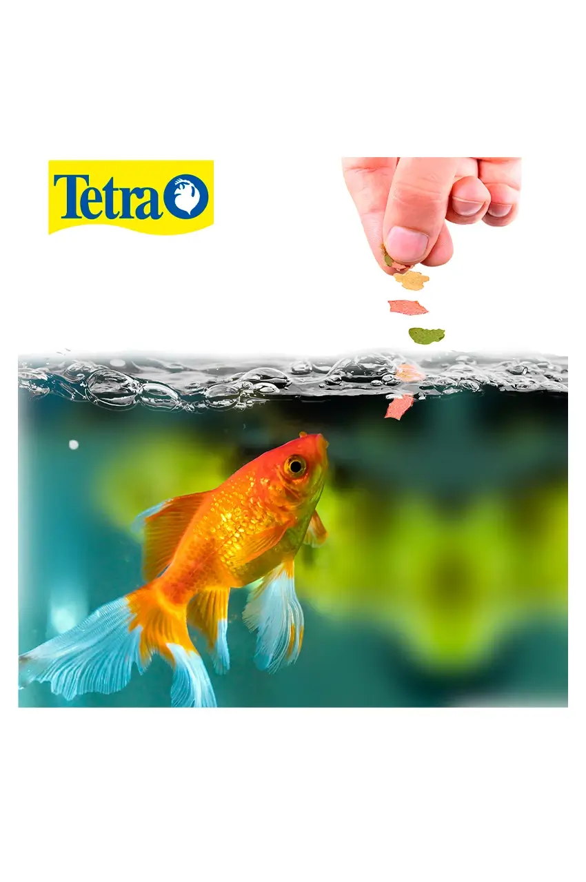 Alimento Goldfish Tetra Fin - Imagen 2
