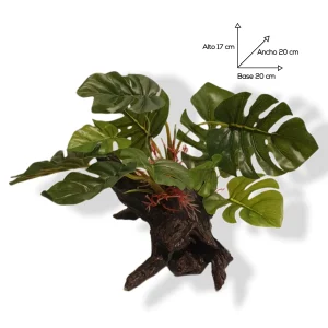 Tronco Con Plantas Para Acuario Planta Cletrofila delux