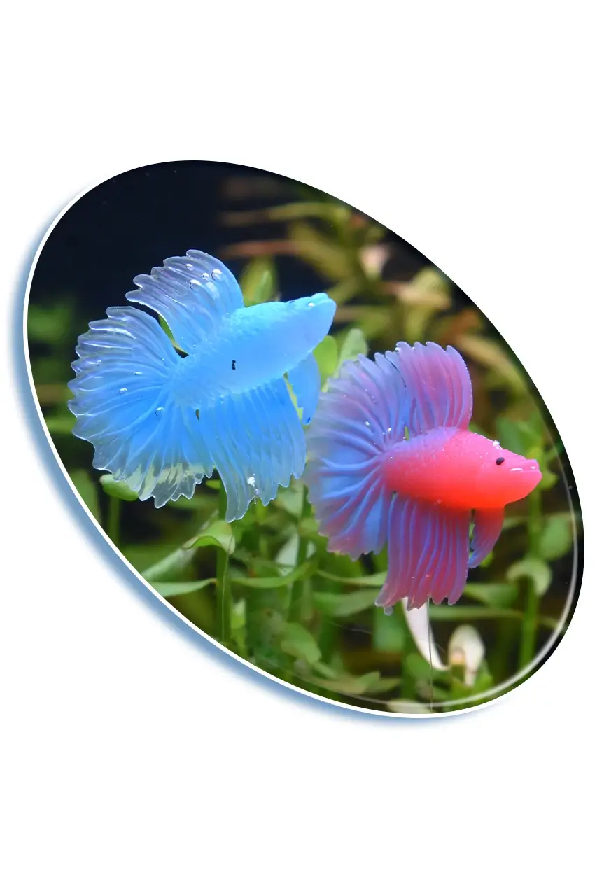 Betta Buddy – Juguete Acuático de Plastico - Imagen 4