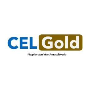 CEL Gold – Isocrhysis sp