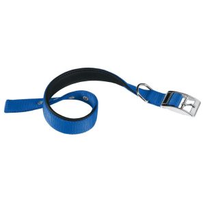 Collar Daytona C Nº3 Azul