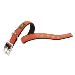 Collar Dual CF Grande Naranja