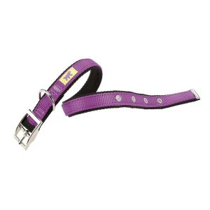 Collar Dual CF Extra Grande Violeta