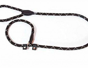 Correa/Collar Aplpinista