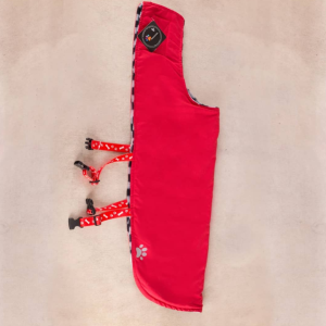 Capa Impermeable y Polar Patagonia T2