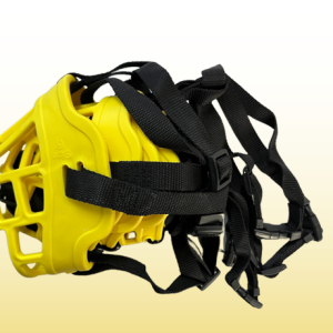 SET DE 6 BOZALES DE GOMA