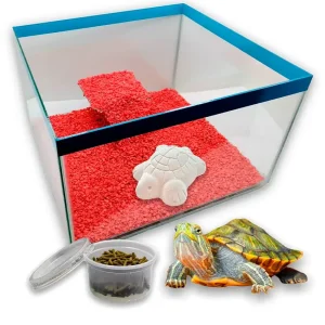 Combo Tortuguero de Vidrio