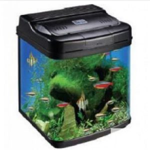 Acuario Vidrio 22Lts.9W