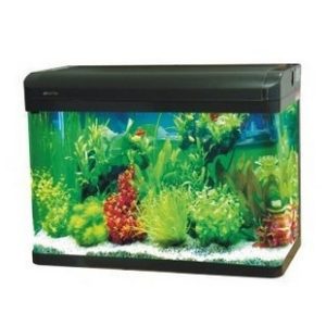 Acuario Vidrio 120L 12Wx2