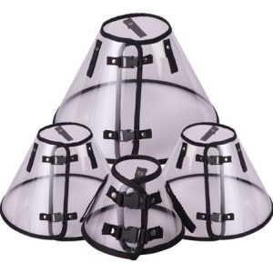 SET ISABELINO PREMIUM X10