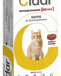 Cidar Gatos 3.1 a 6 kgs (3 Unidades)