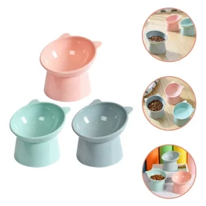 PLATO POSTURA CORRECTA