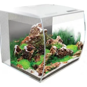 Fluval FLEX Aquarium Kit – 34 L