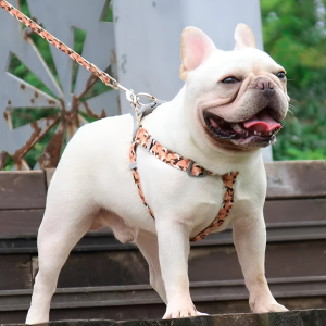 ARNES CON CORREA CINTA ESTAMPADA L