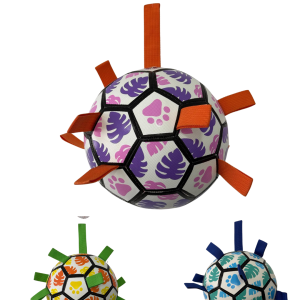 PELOTA HOJAS Y HUELLITAS