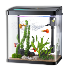 ACUARIO 30 lts C/TAPA, FILTRO E ILUMINACION LED