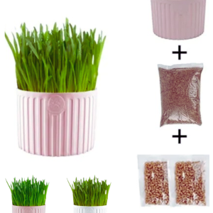 GERMINADOR CON SEMILLAS + TIERRA