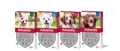 PIPETAS ANTIPARASITARIAS ADVANTIX PARA PERROS (CAJA DE 4 PIPETAS)