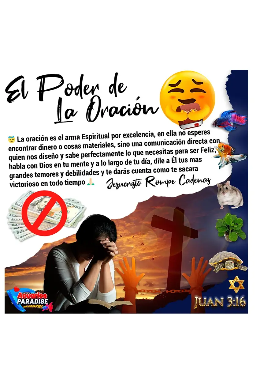 Goldfish COLOR Premium Food Sunny 90g - Imagen 4