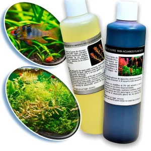 Elementos Mayores y Menores Genéricos