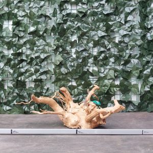 Raiz azalea x 1,100gr