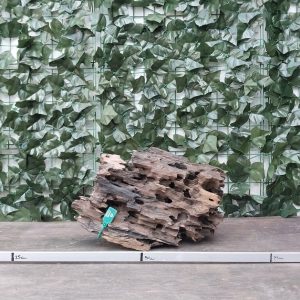 Dragon Wood x 2,688 gr