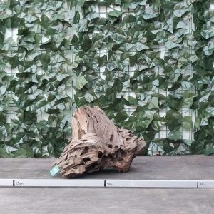 Dragon Wood x 1,863gr