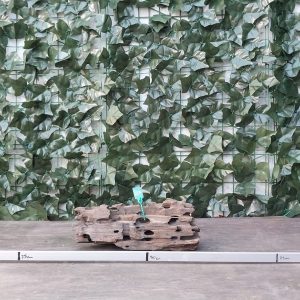 Dragon Wood x 1000gr