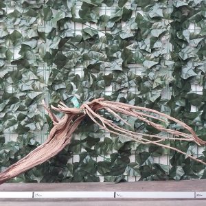 Raiz Jarilla Nacional XL 1005