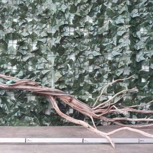 Raiz Jarilla Nacional XXL 1002