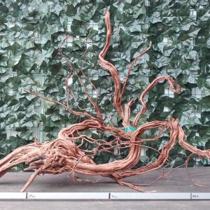 River Twisted ROOT x 2,89kg