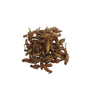 Grillos deshidratados