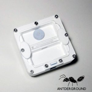 Hormiguero guardería 8 x 8 reina y primeras nurses seta (Tapa roja incluida)