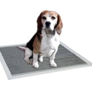 Paños de Entrenamiento Con Carbón Activado 60×60 cm (40 Unidades)