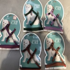 Arnes Con Correa Económico – S