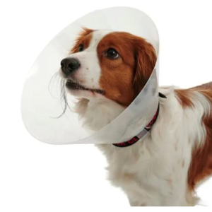 Collar Isabelino 25 Cm