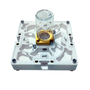 Hormiguero modular 3D de 10×10 con deposito superior