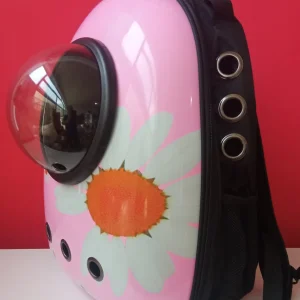 MOCHILA CAPSULA CON DISEÑO