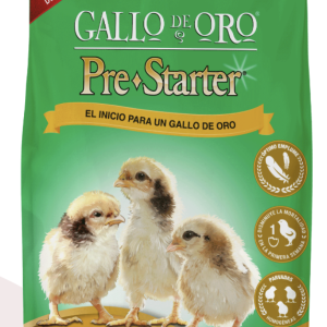 Gallo/Oro Pre-Starter Inicio