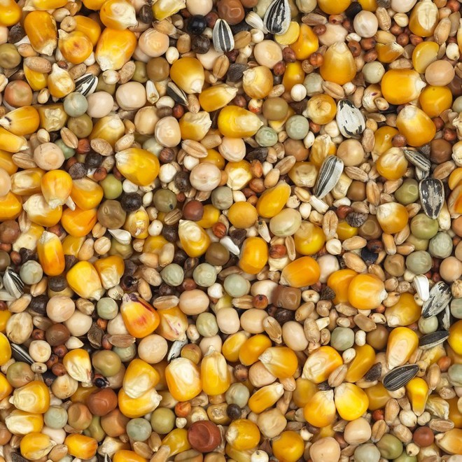 Mixtura Super Basic 25kg