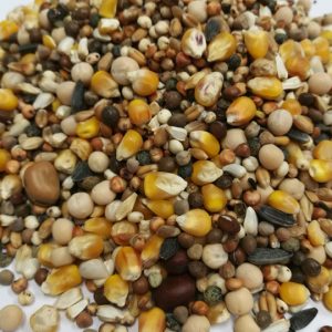 Mixtura Palomas MANTENIMIENTO