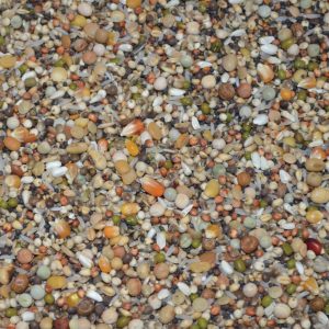 Mixtura Palomas CRIA PREMIUM N182