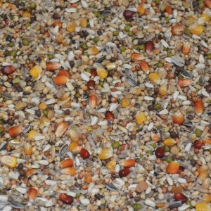 Mixtura Palomas DYNAMIC PREMIUM N184